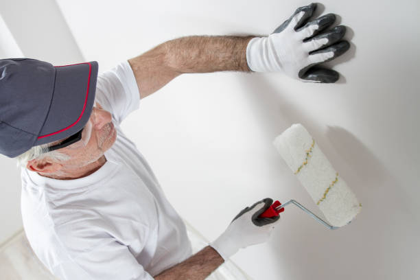 Best Crawl Space Mold Remediation  in Montpelier, OH