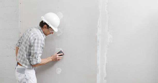 Best Dehumidification Services  in Montpelier, OH