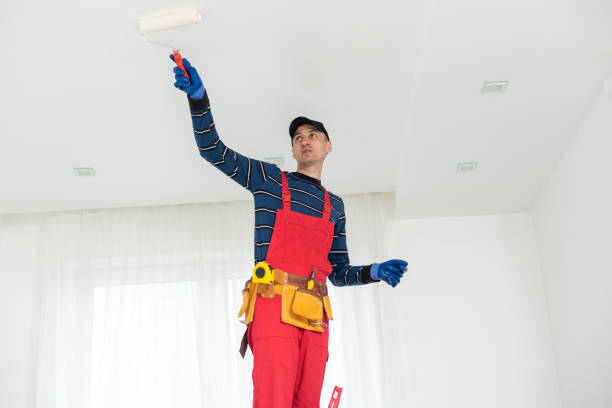 Best Attic Mold Removal  in Montpelier, OH