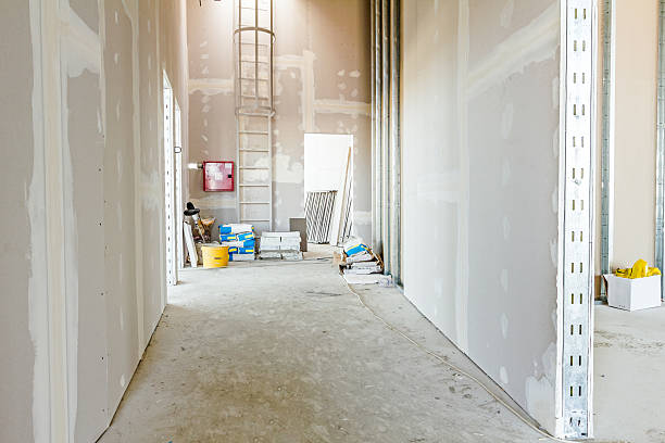 Best Commercial Mold Inspection  in Montpelier, OH