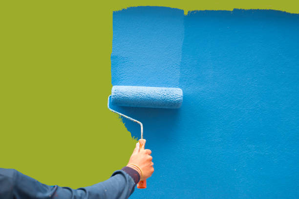 Reliable Montpelier, OH Mold Removal Solutions